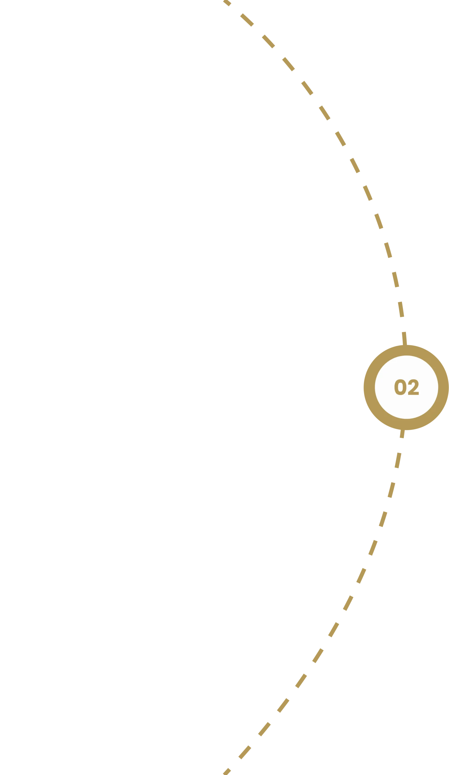 timeline 2 scaled