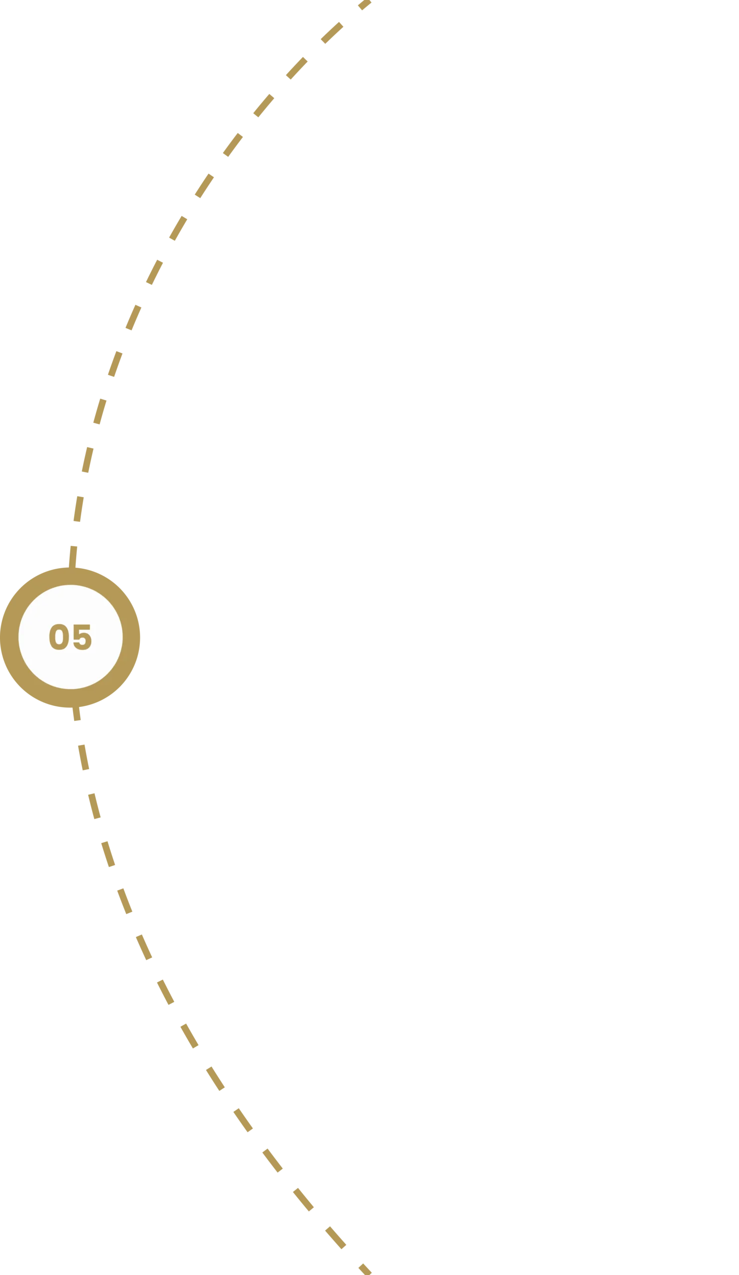timeline 5 scaled