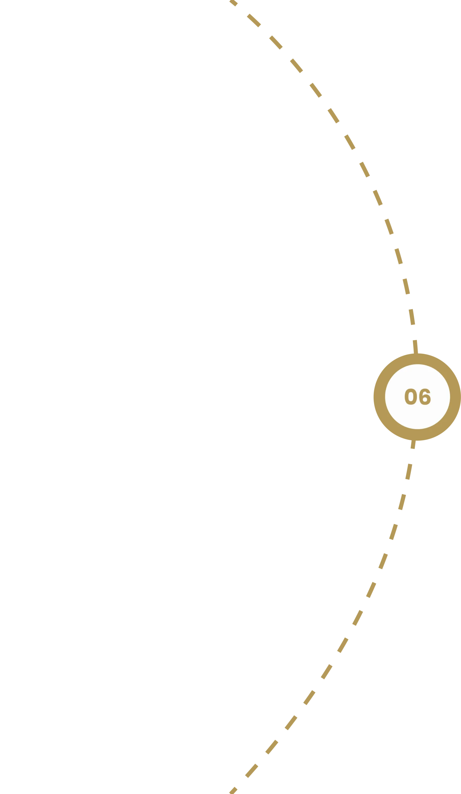 timeline 6 scaled