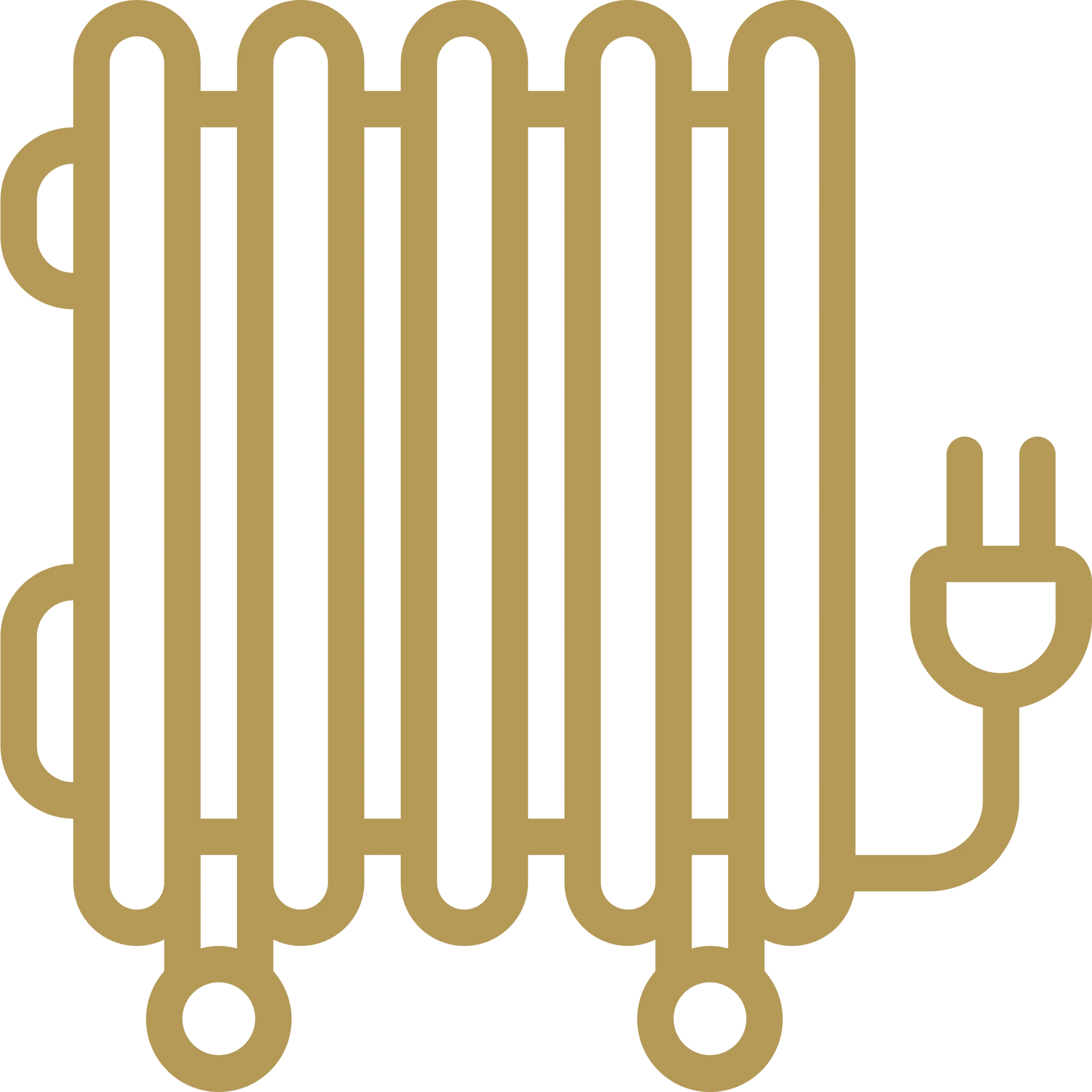 icone 65 scaled